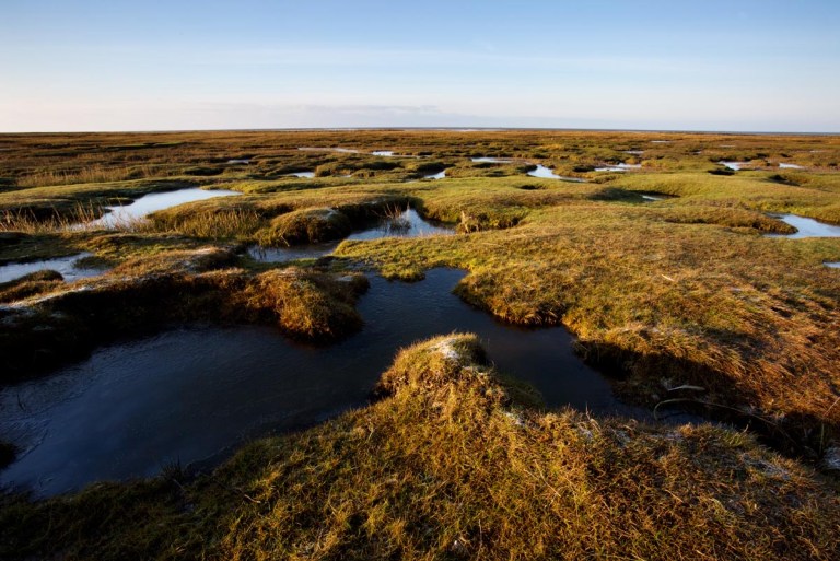 Photo of frozen saltmarsh, Westerhever, Nordfriesland, Germany
