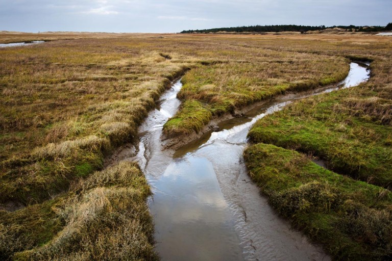 Photo of a Saltmarsh, Sankt Peter-Ording, Nordfriesland, Germany