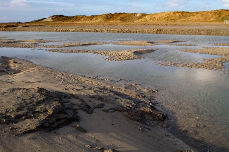 Photo of the Zwin nature reserve, Belgium