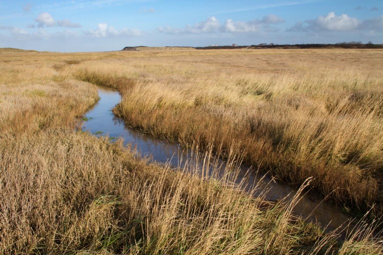 Photo of the Zwin nature reserve, Belgium