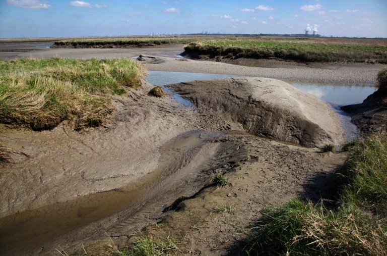 Photo of nature reserve Verdronken Land van Saeftinghe, the Netherlands