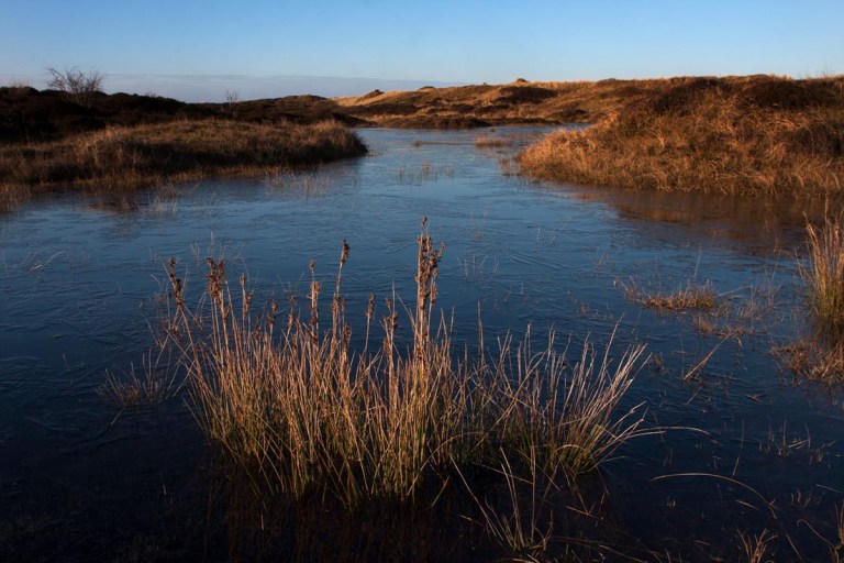 Photo of nature reserve Duinen van Texel