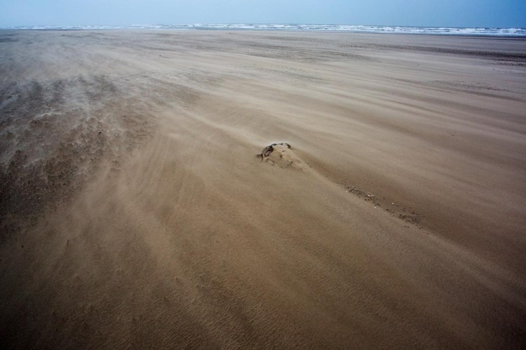 Photo of the North Seacoast near Petten, the Netherlands