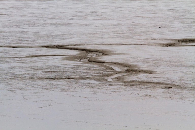 Photo of Mudflats, the Netherlands