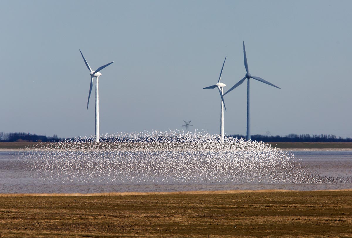 Photo of Punt van Reide, the Netherlands