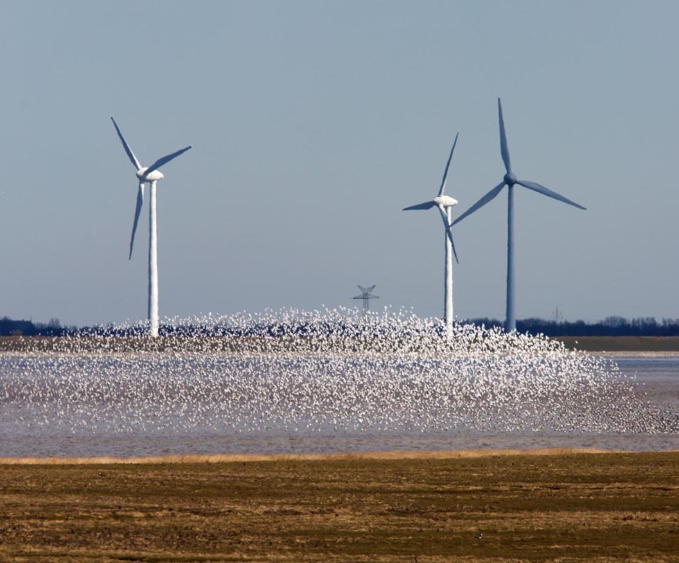Photo of Punt van Reide, the Netherlands