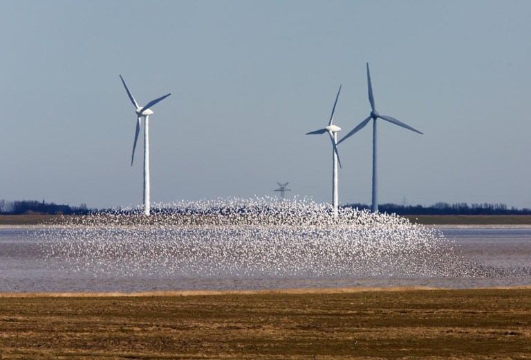 Photo of Punt van Reide, the Netherlands