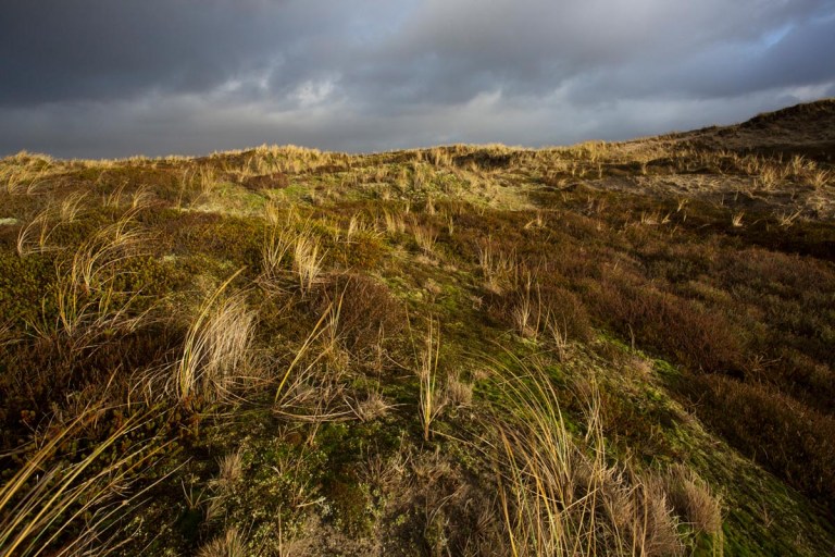Photo of Nationalpark Thy, Denmark