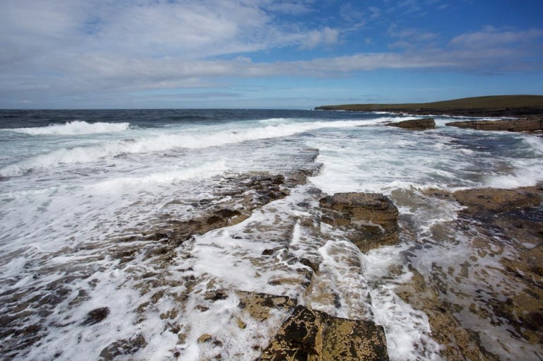 Photo of nature reserve North Hill, Papa Westray, Orkney