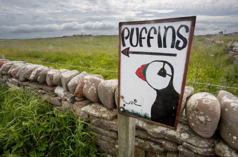 Photo of a sign, Castle O’ Burrian, Westray, Orkney