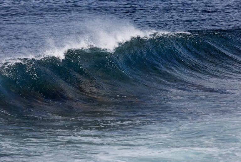 Photo of nature reserve North Hill, Papa Westray, Orkney