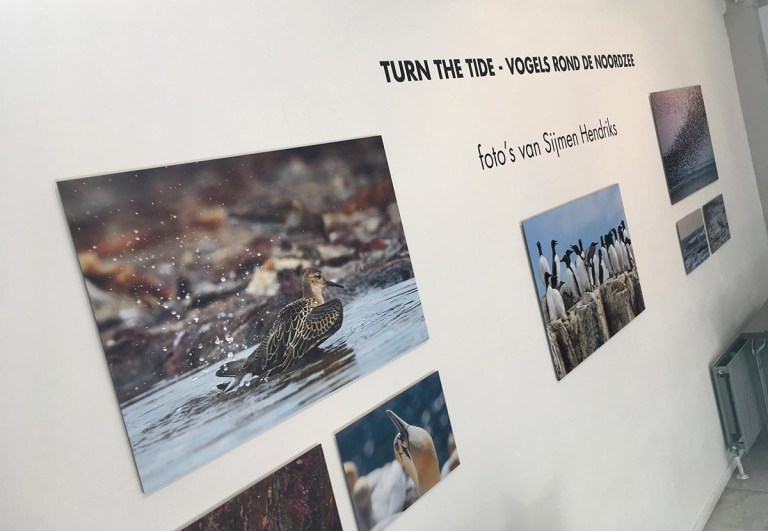 Foto expositie 'Turn the tide, vogels rond de Noordzee' 