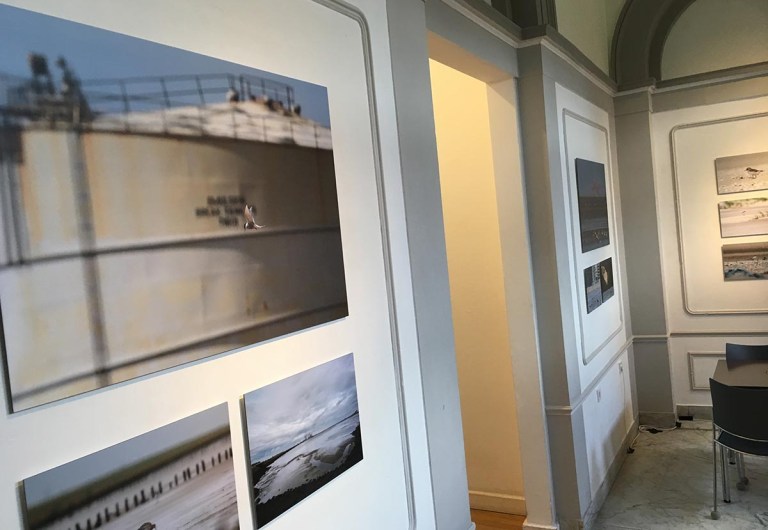Foto expositie 'Turn the tide, vogels rond de Noordzee' 