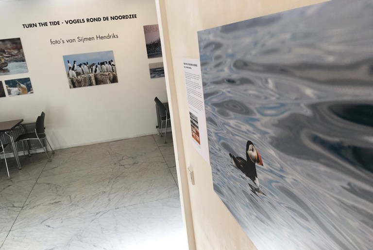 Foto expositie 'Turn the tide, vogels rond de Noordzee' 